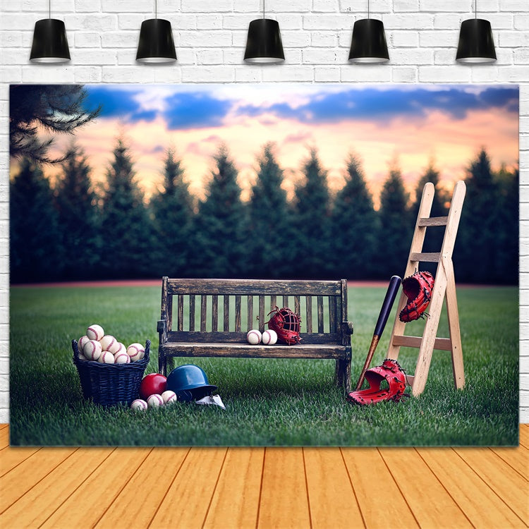 Baseball Backdrops Sunset Baseball Bench Backdrop GQ6-261