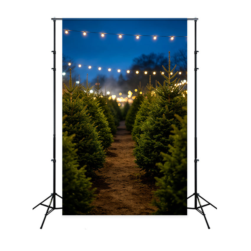 Christmas Tree Backdrop Nighttime Pine Tree Pathway Indoor Christmas Backdrops GQ69-49