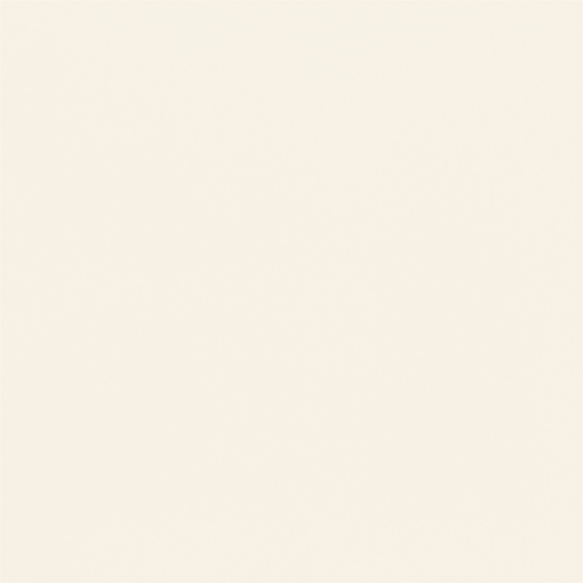 White Photo Backdrop Soft Beige Neutral Backdrop GTY2-154