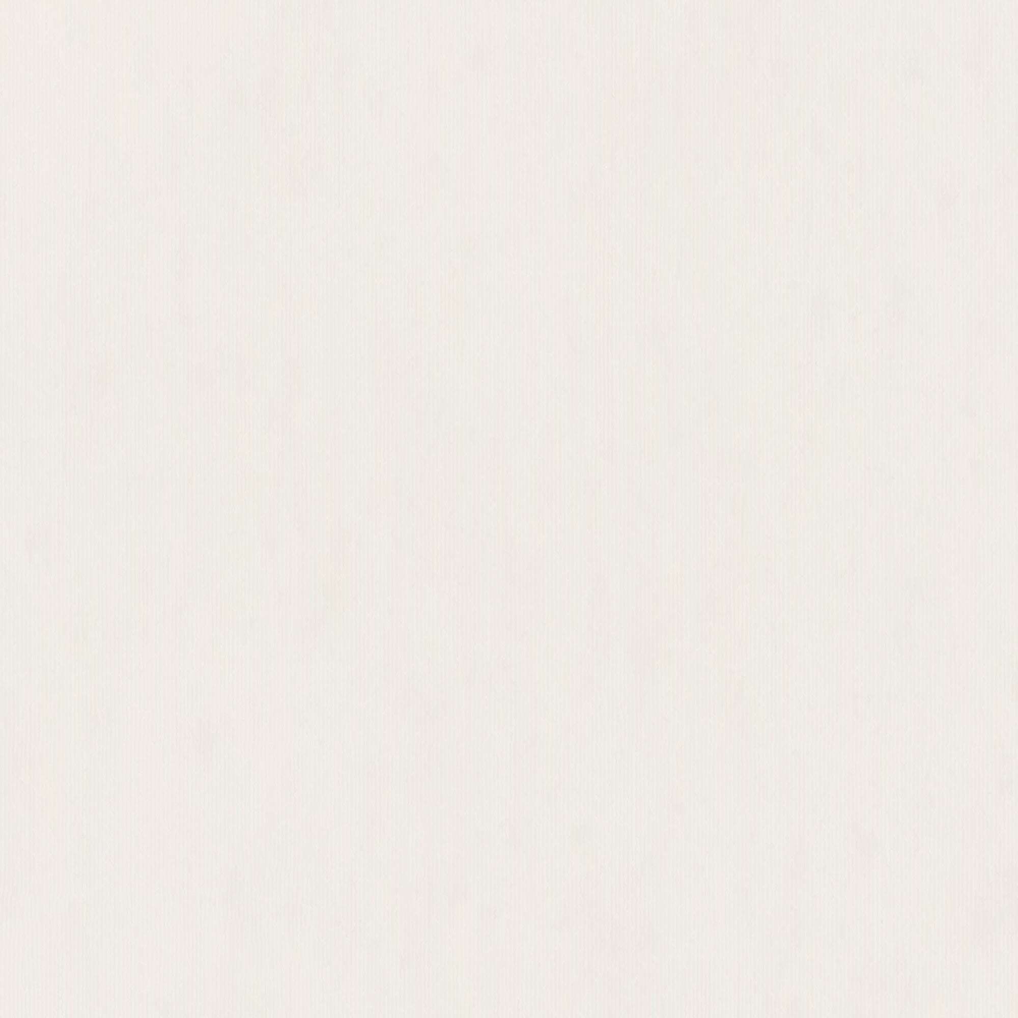 White Backdrop For Photos Warm White Creamy Backdrop GTY2-155