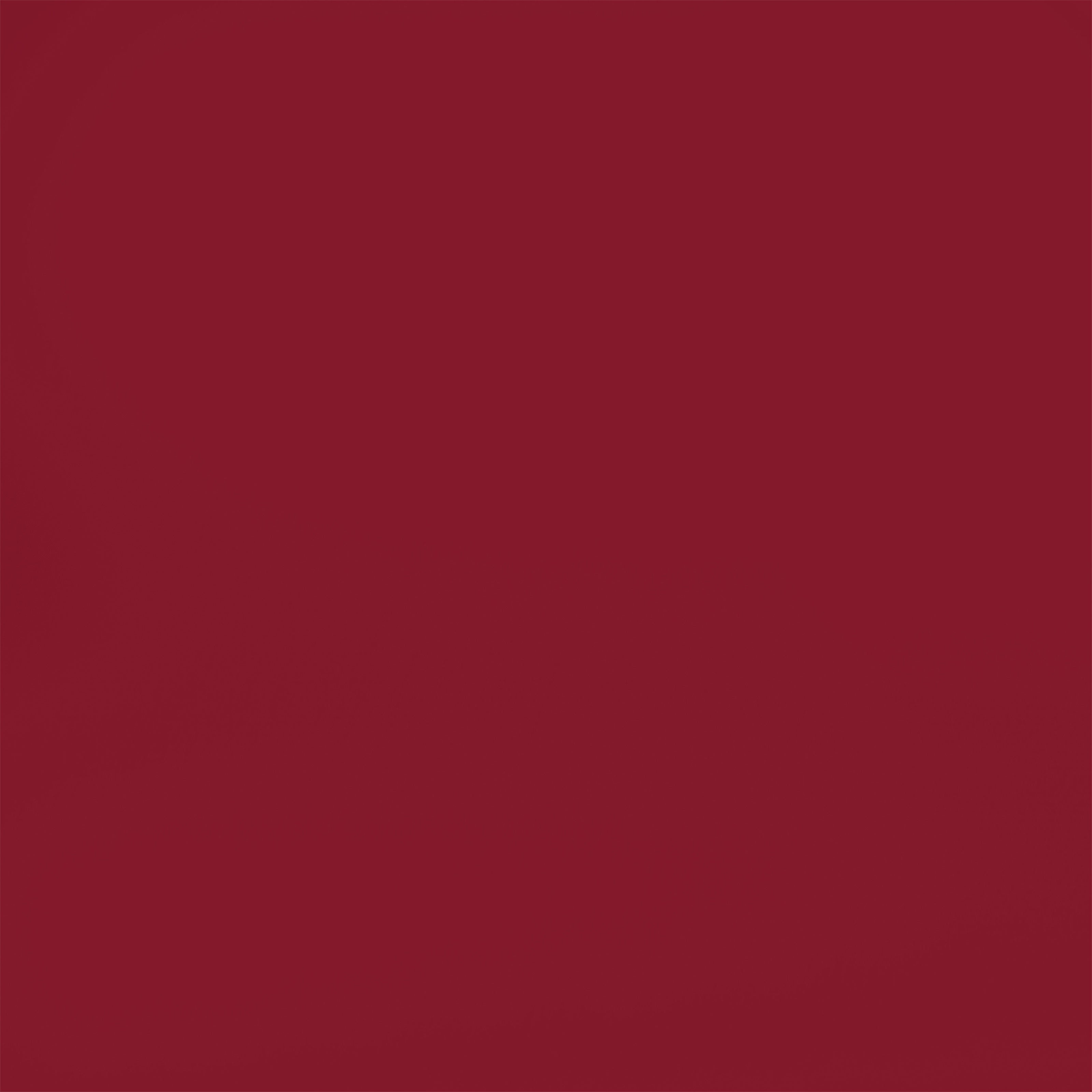 Red Backdrop Photoshoot Bold Crimson Red Backdrop GTY2-175