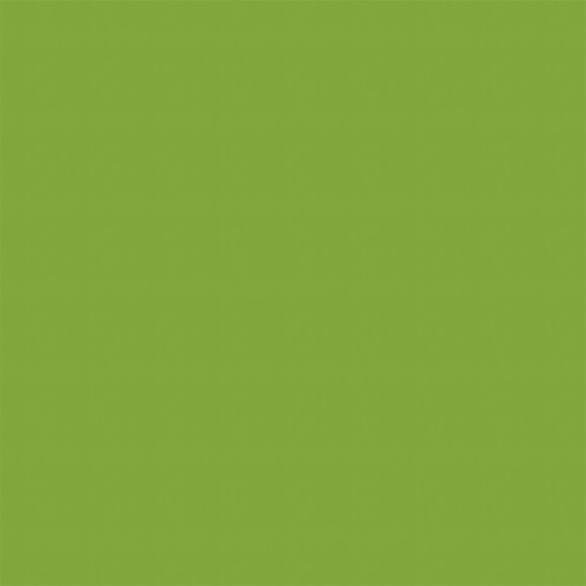 Green Photo Backdrop Energetic Grass Green Backdrop GTY2-182