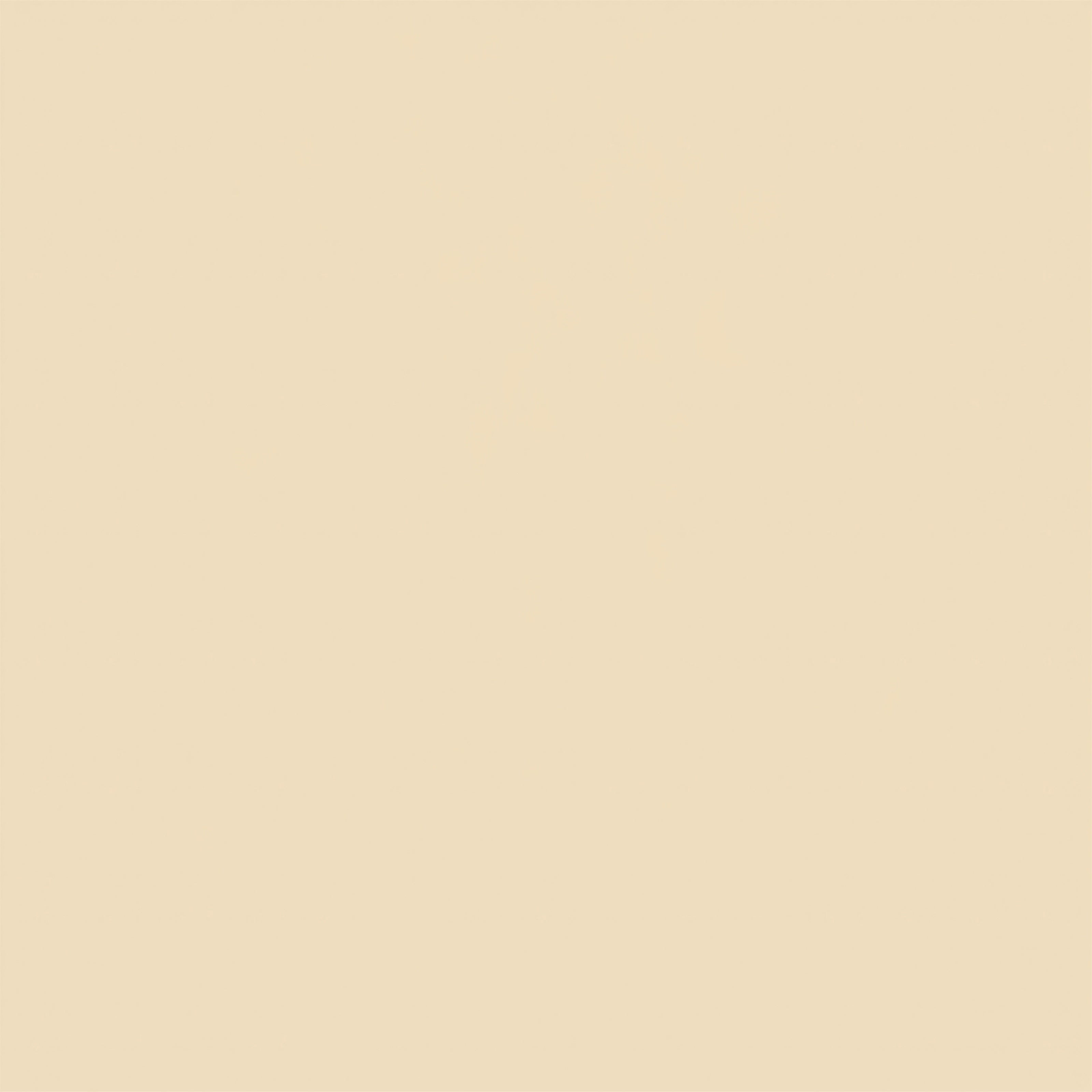 White Photo Backdrop Delicate Vanilla Fresh Backdrop GTY2-187