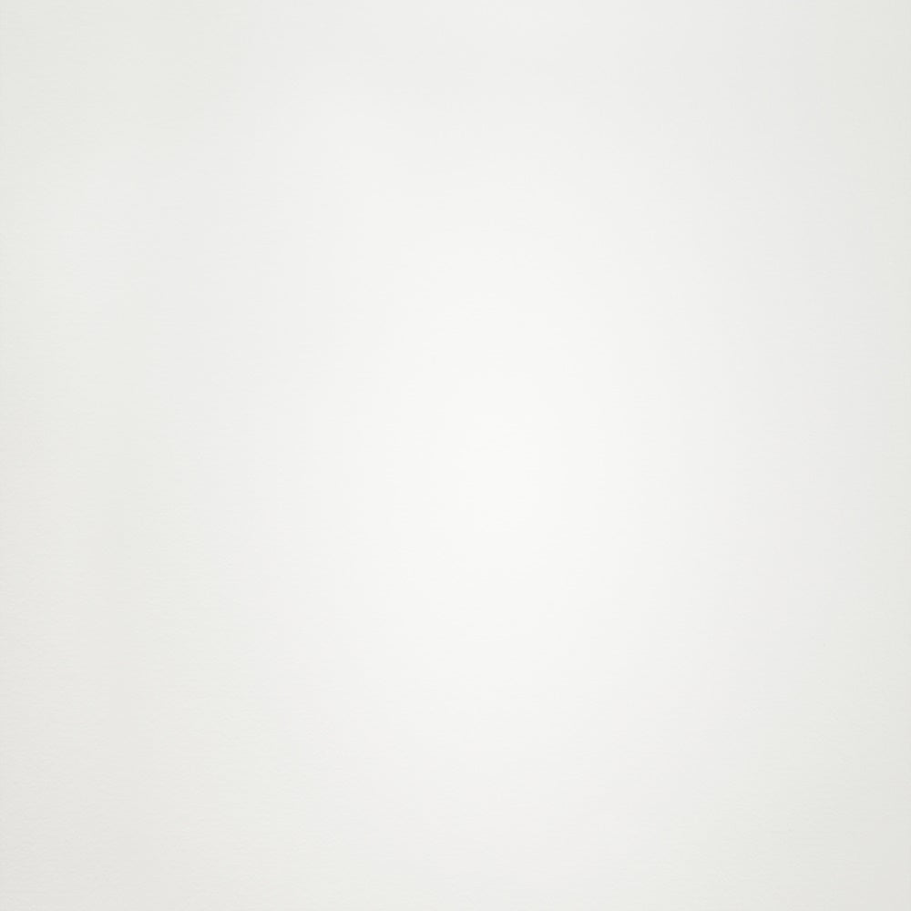 Professional Graduation Photo Backdrop Simple Off-White Backdrop GTY3-315