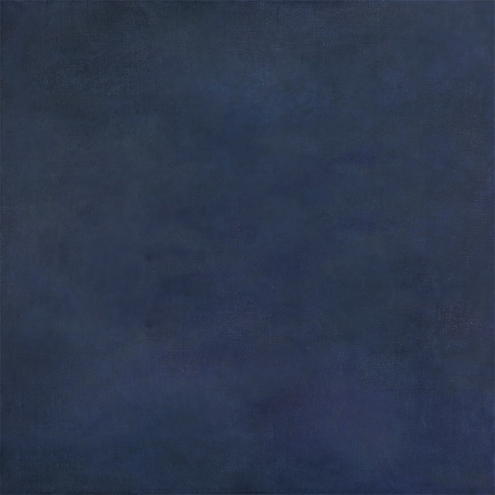 Blue Photo Backdrop Textured Navy Blue Backdrop GTY3-321