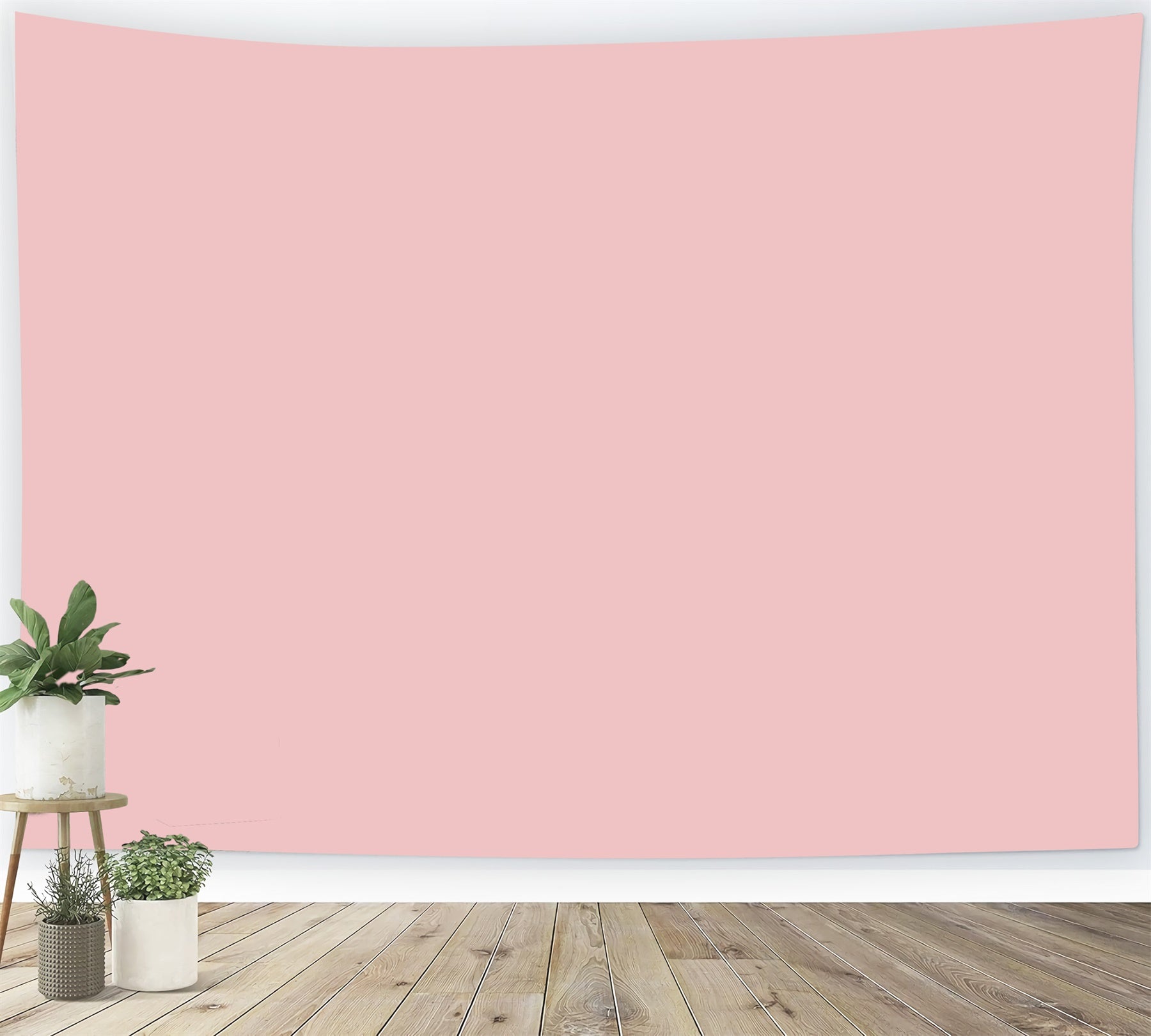 Graduation Portrait Backdrop Soft Pink Solid Studio Backdrop GTY3-328