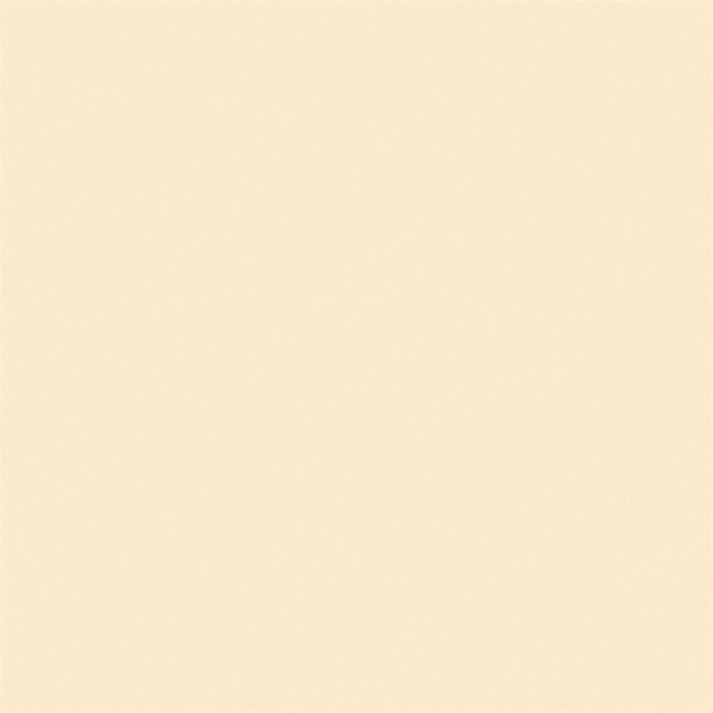 School Photo Backdrop Beige Cream Studio Backdrop GTY3-332