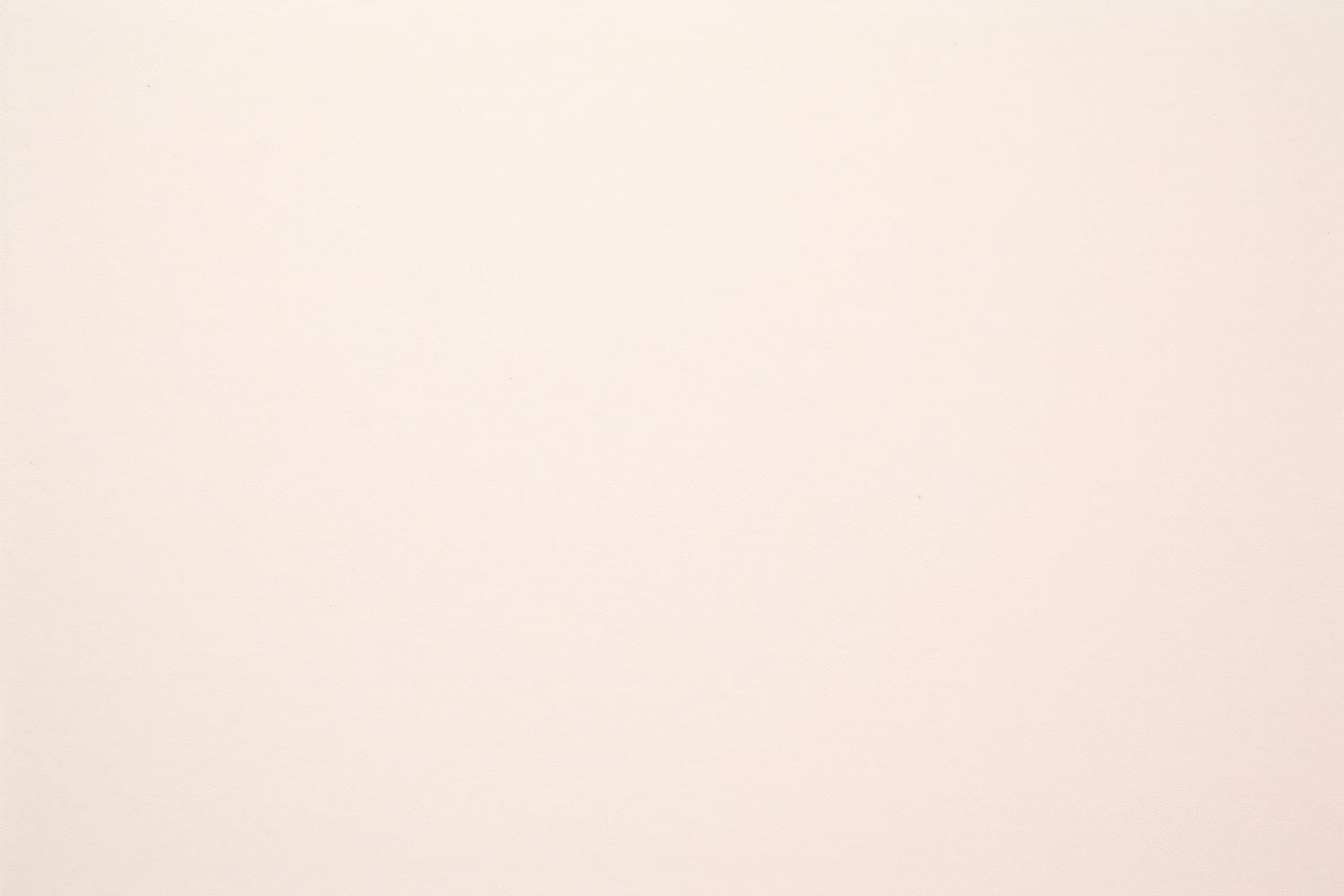 Backdrop For Headshots Soft Beige Minimalist Backdrop GTY3-349