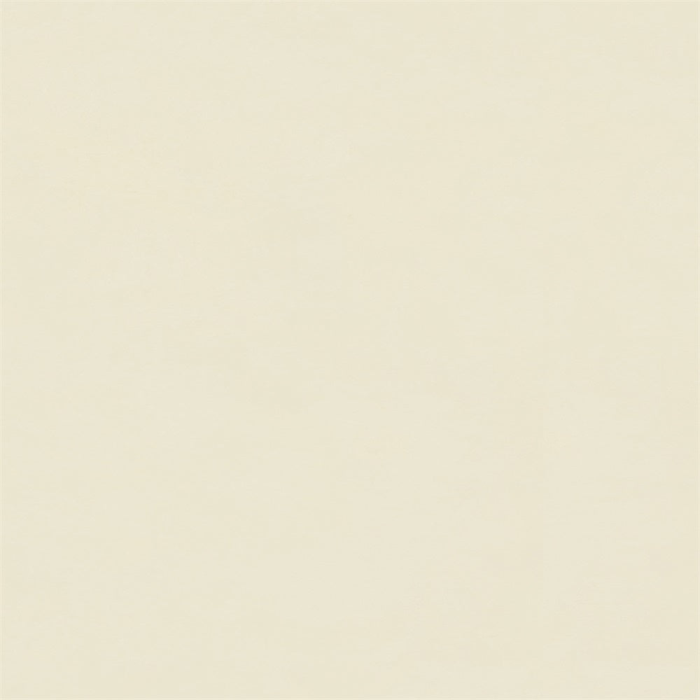 Professional Graduation Photo Backdrop Butter Cream Backdrop GTY3-354