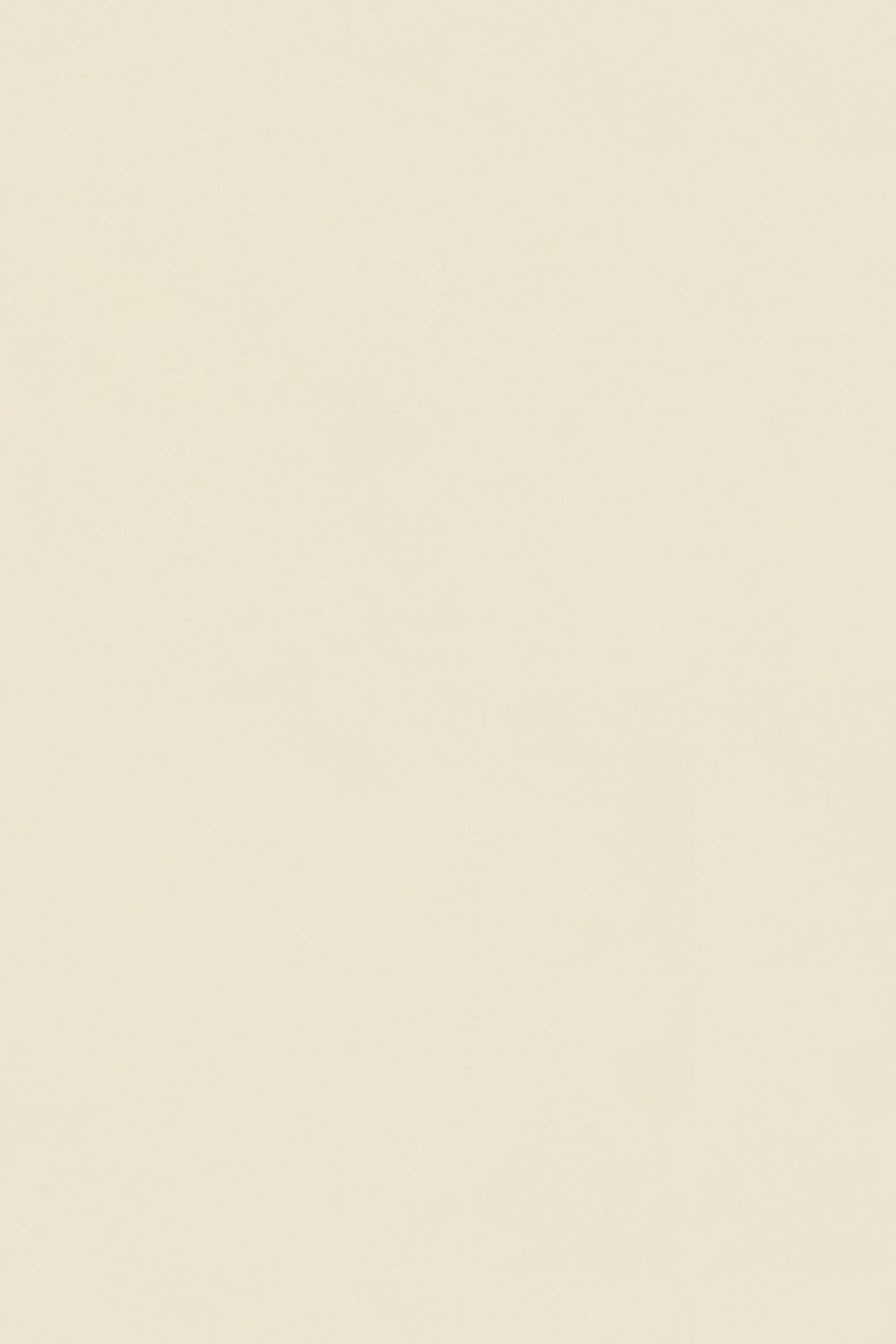 Professional Graduation Photo Backdrop Butter Cream Backdrop GTY3-354