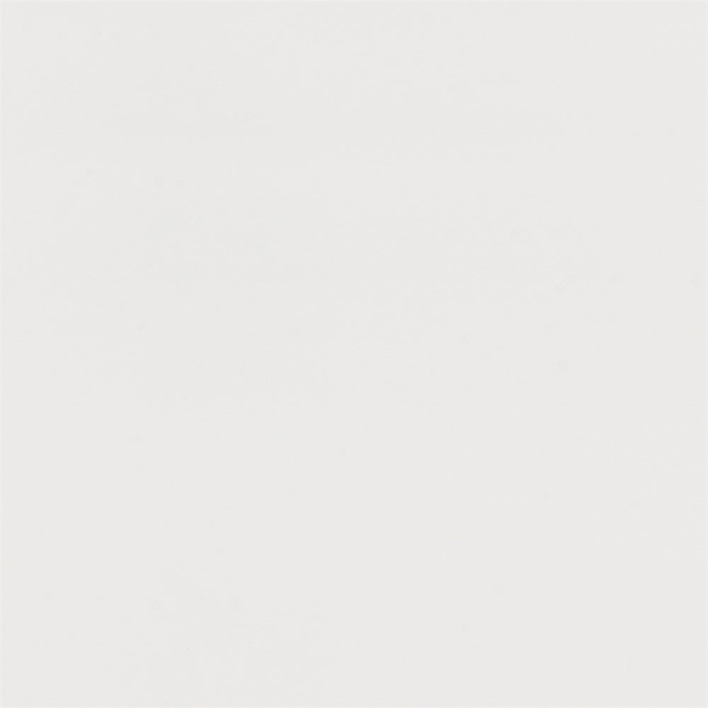 Graduation Portrait Backdrop Pale Ash Minimalist Texture Backdrop GTY3-355