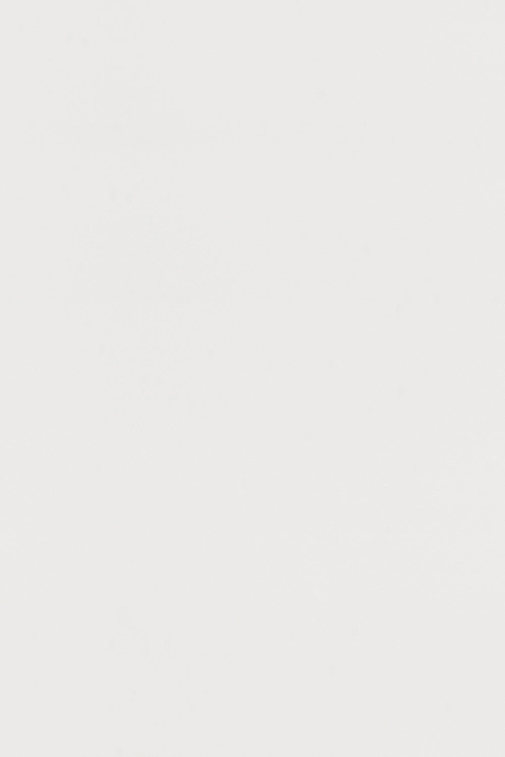 Graduation Portrait Backdrop Pale Ash Minimalist Texture Backdrop GTY3-355