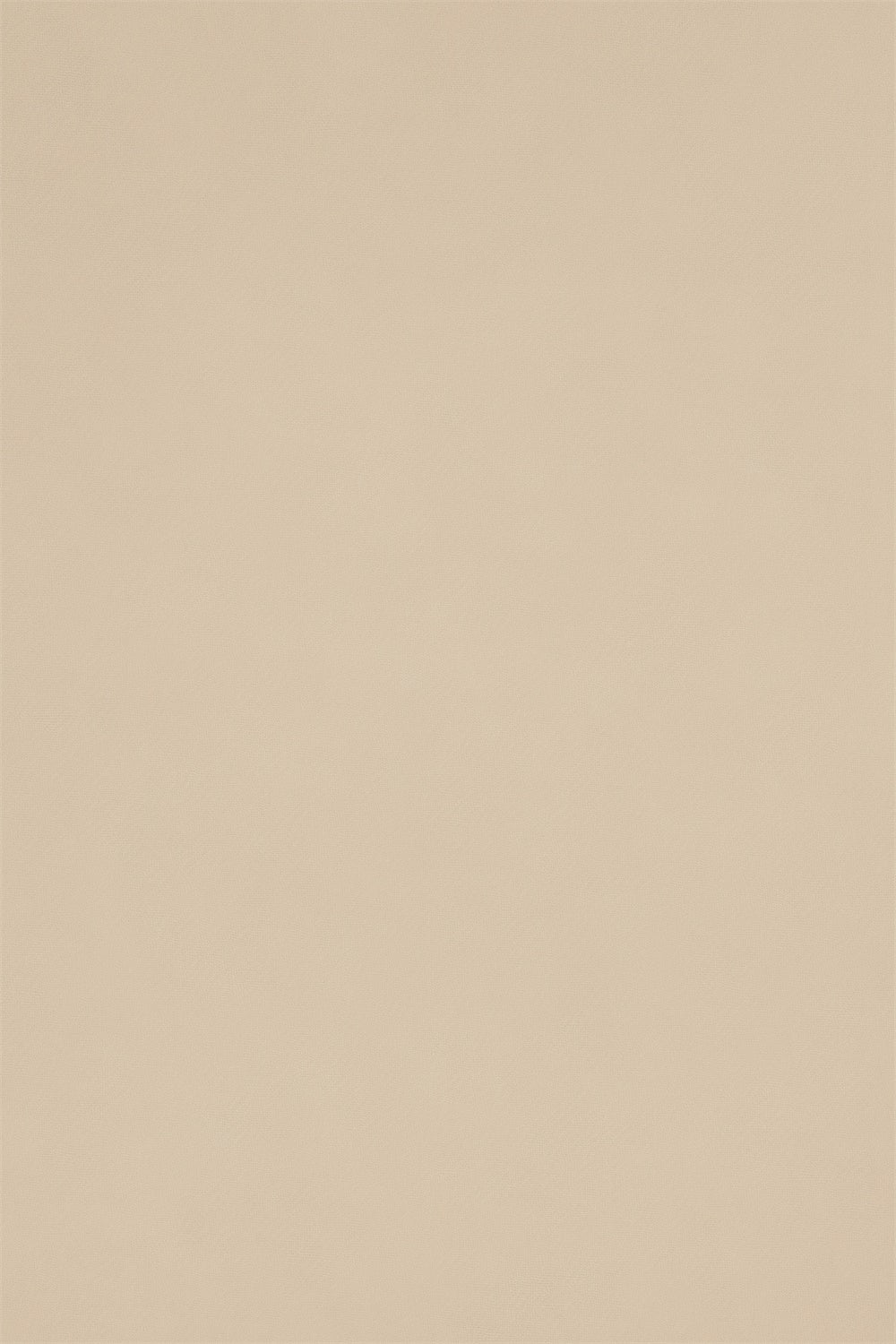 Backdrop Headshot Light Almond Smooth Tone Backdrop GTY3-360