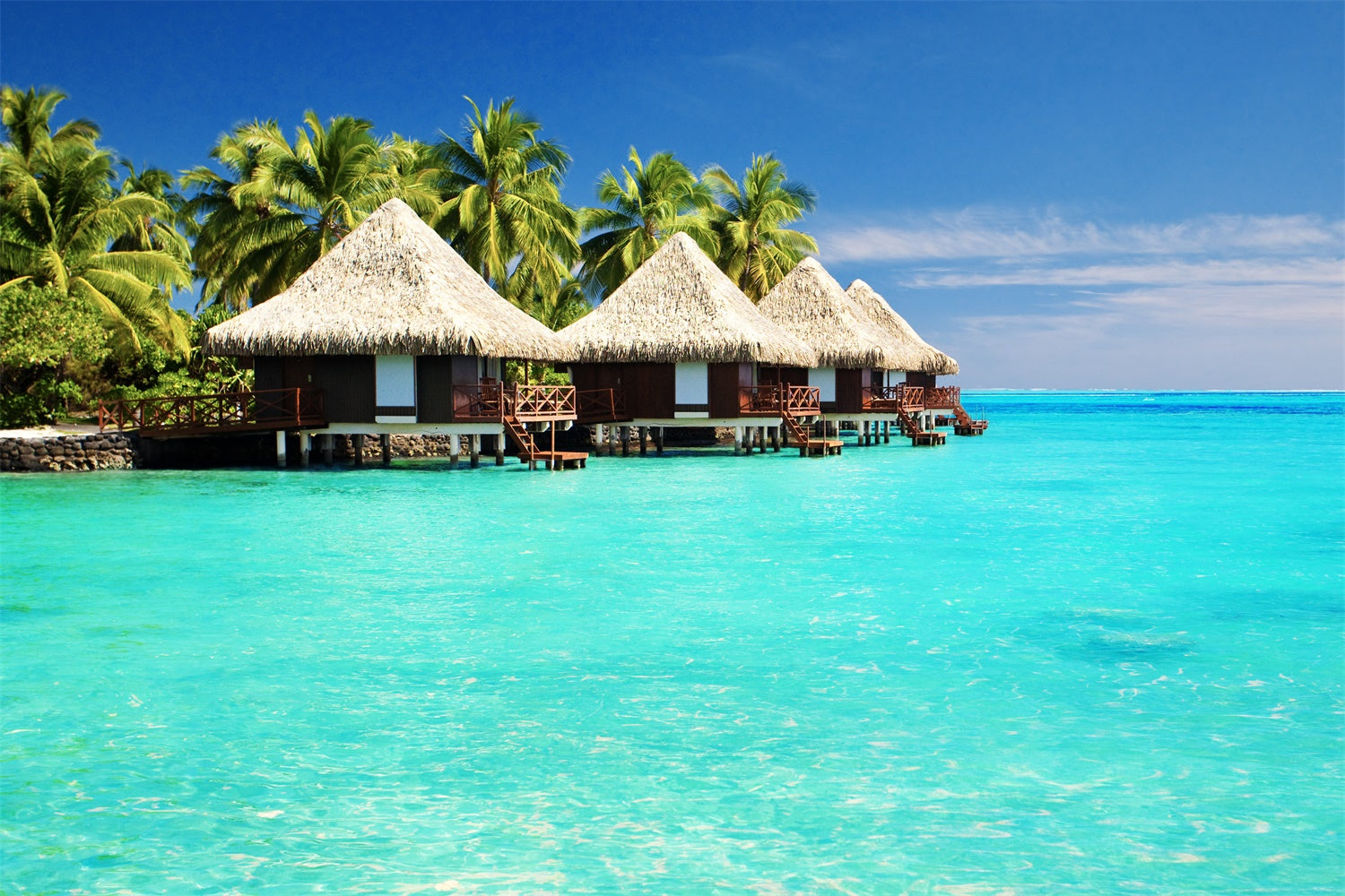 Tropical Backdrop Tropical Island Water Bungalow Summer Backdrop GTY3-383