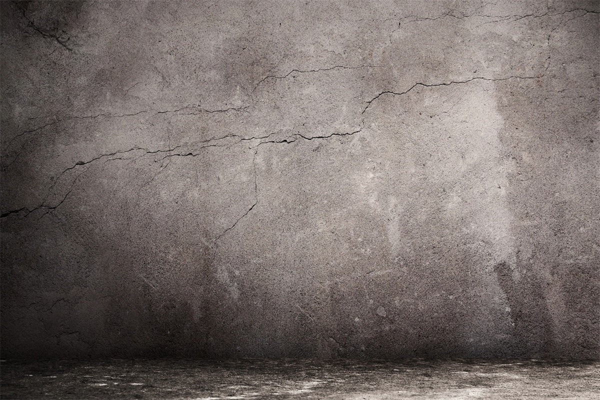 Grey Photo Backdrop Cracked Concrete Rustic Gray Backdrop GTY3-77