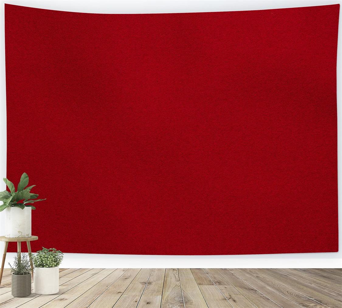 Red Backdrop For Photography Classic Wine Red Solid Backdrop GTY3-78