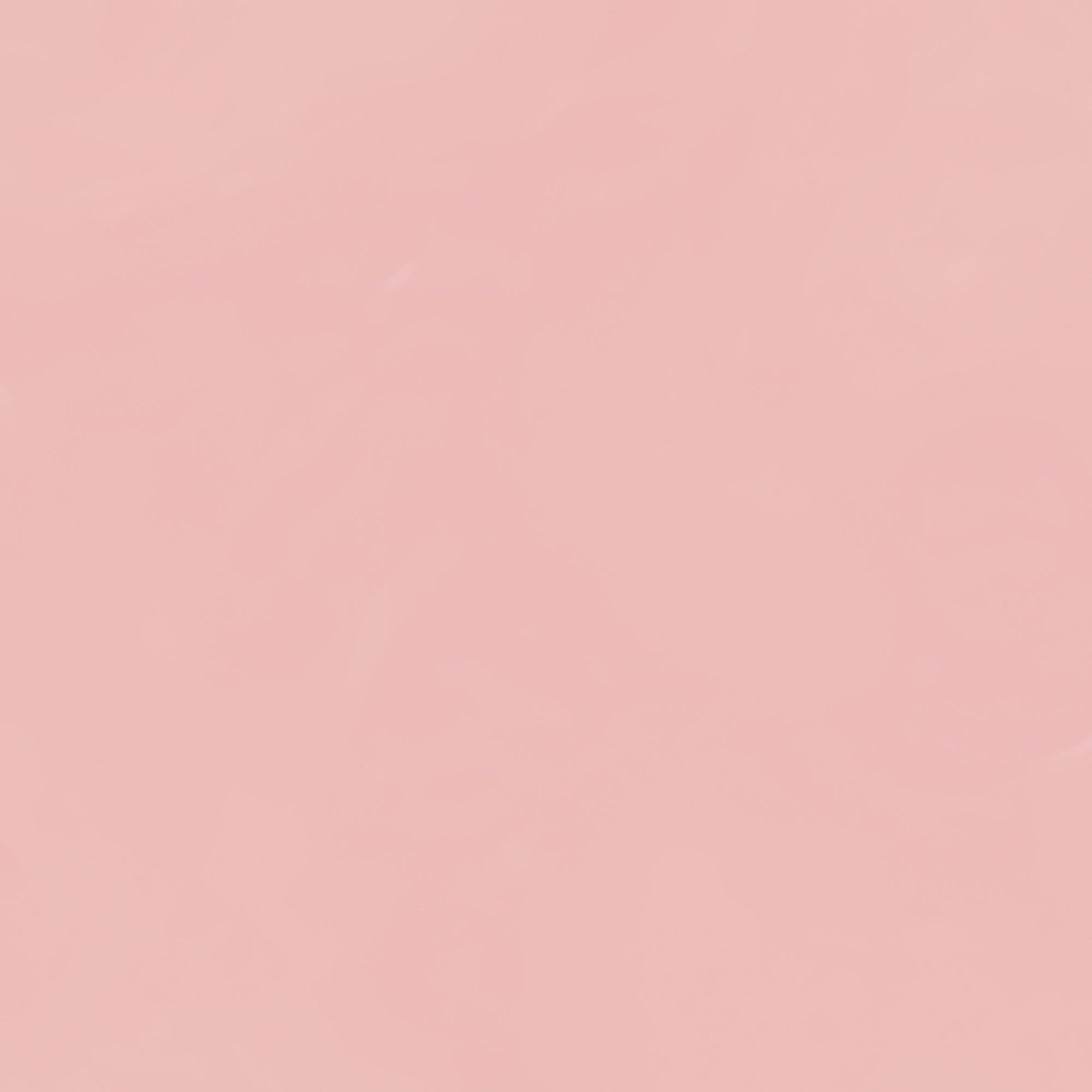 Pink Photo Backdrop Classic Nude Pink Smooth Backdrop GTY3-98