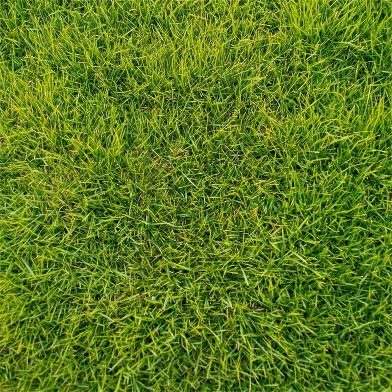 Floor Backdrop Photography Lush Green Grass Floor Backdrop LXX2-227
