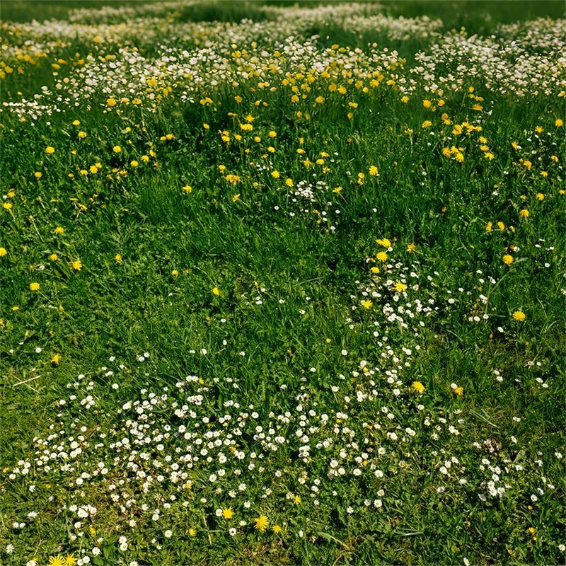 Photo Backdrop Floor Wildflower Meadow Green Floor Backdrop LXX2-228