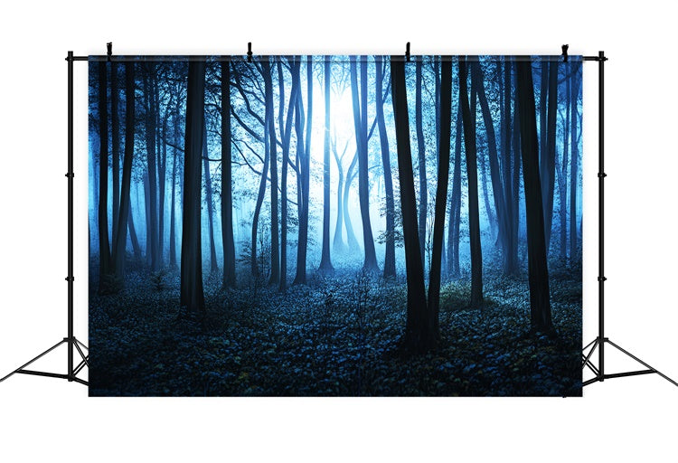 Dark Forest Backdrop Midnight Mist Grove Backdrop LXX57-115
