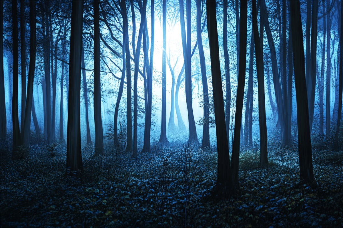 Dark Forest Backdrop Midnight Mist Grove Backdrop LXX57-115