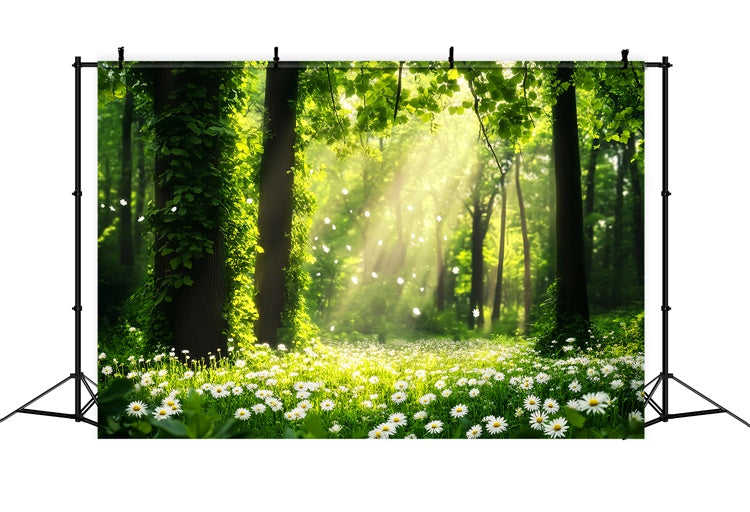Forest Photography Backdrop Daisy Sunbeam Meadow Backdrop LXX57-132