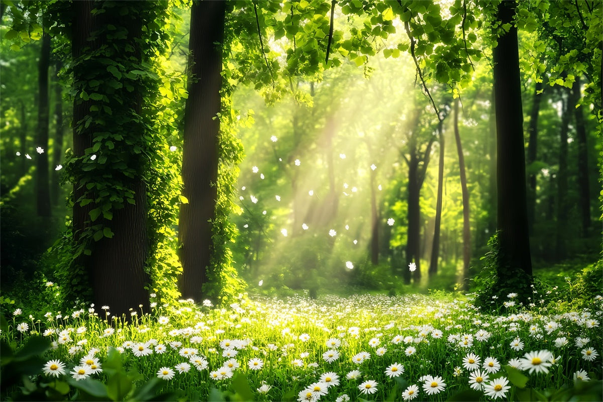 Forest Photography Backdrop Daisy Sunbeam Meadow Backdrop LXX57-132