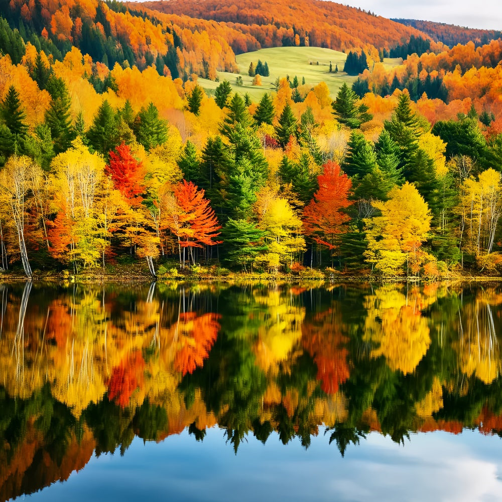 Fall Forest Backdrop Radiance Lake Scene Backdrop LXX57-156