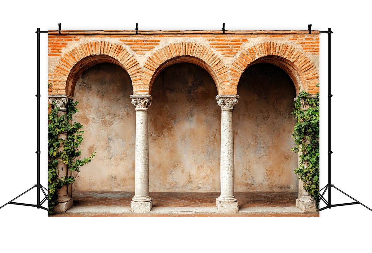Vintage Photography Backdrop Rustic Brick Cloister Backdrop LXX57-191