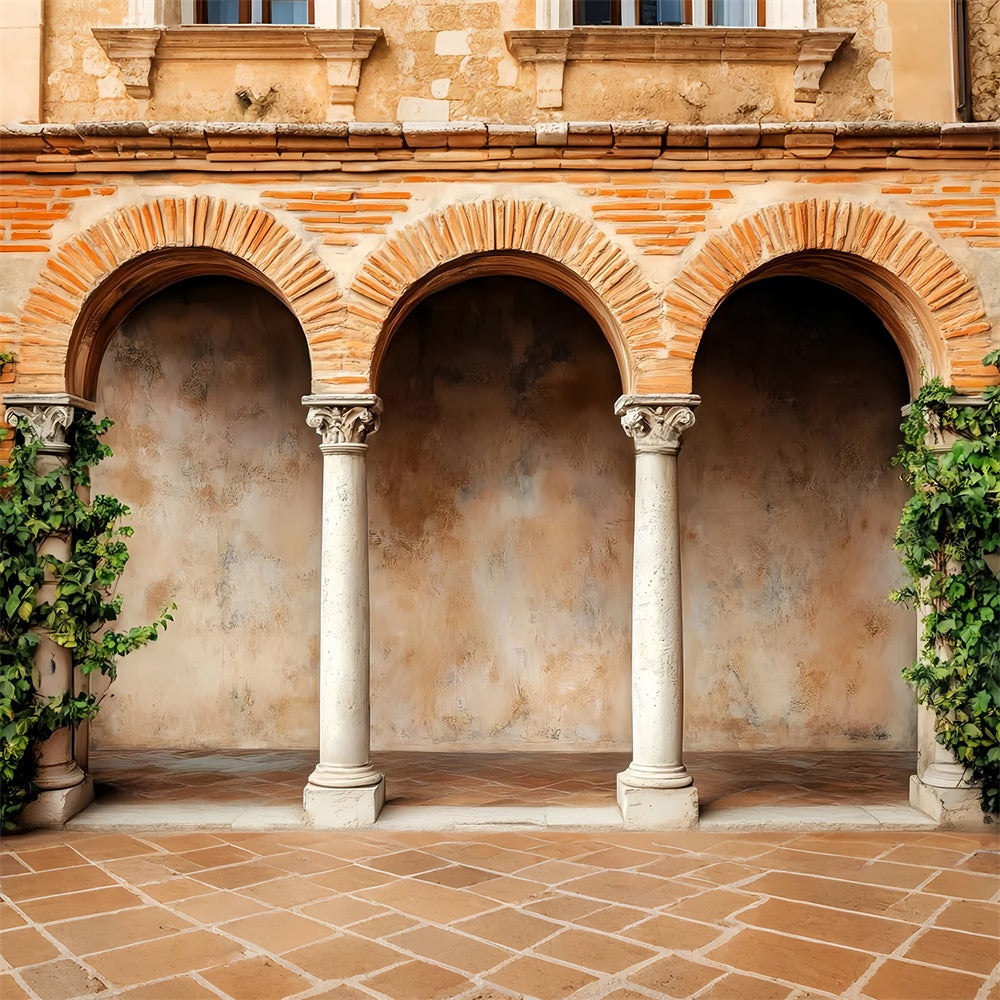 Vintage Photography Backdrop Rustic Brick Cloister Backdrop LXX57-191