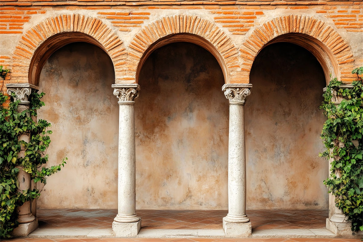 Vintage Photography Backdrop Rustic Brick Cloister Backdrop LXX57-191