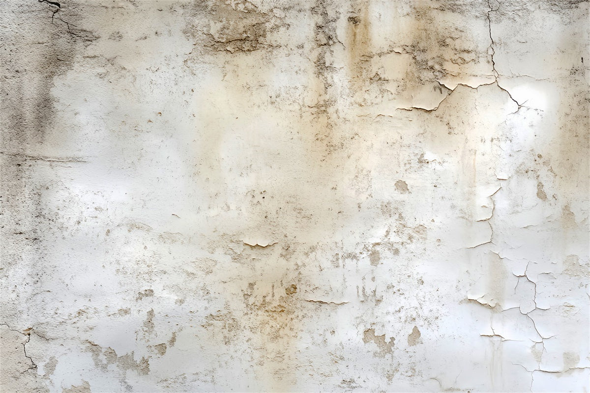 Vintage Wall Backdrop Cracked Plaster Wall Backdrop LXX57-226