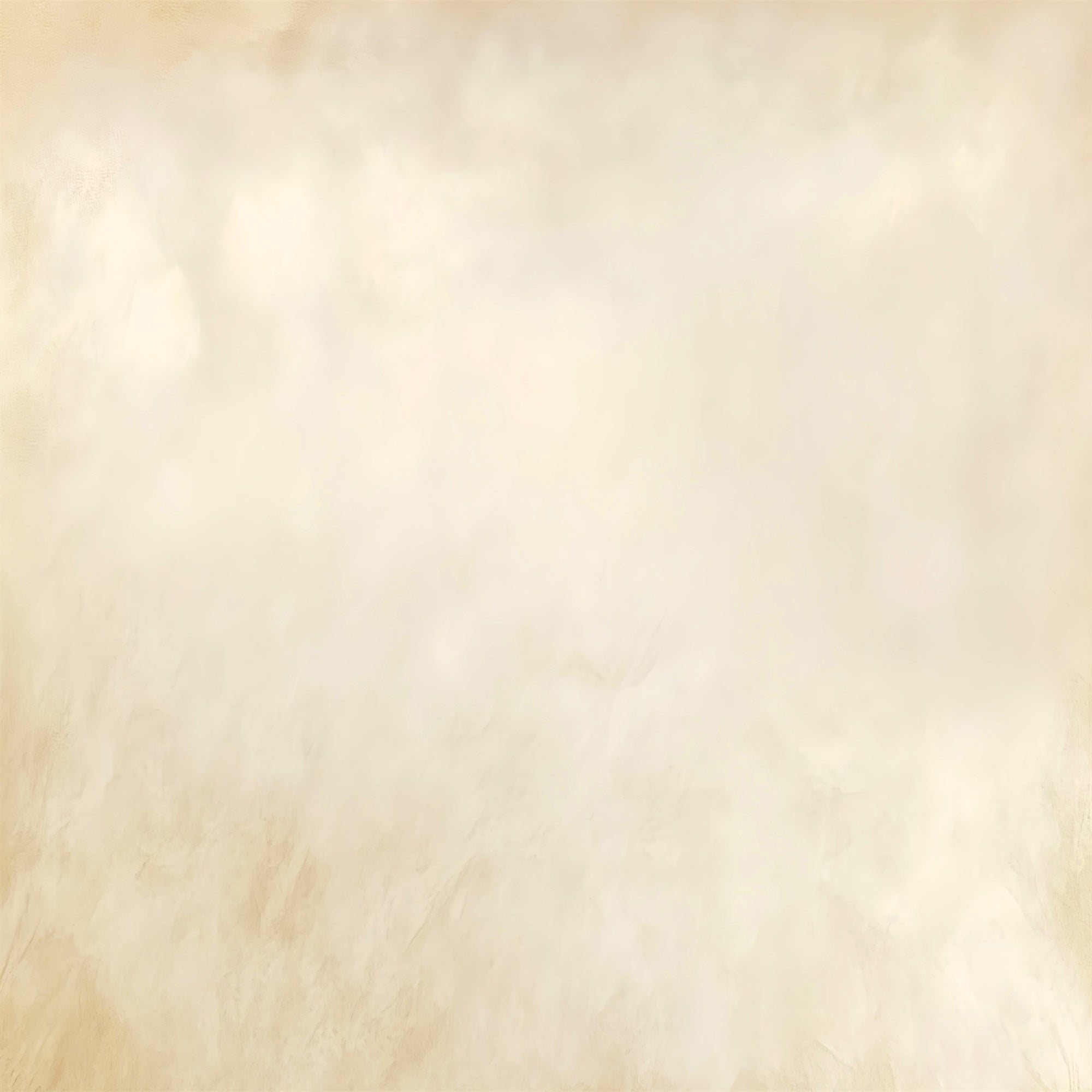 School Portrait Backdrop Soft Fog Cream Backdrop LXX57-251