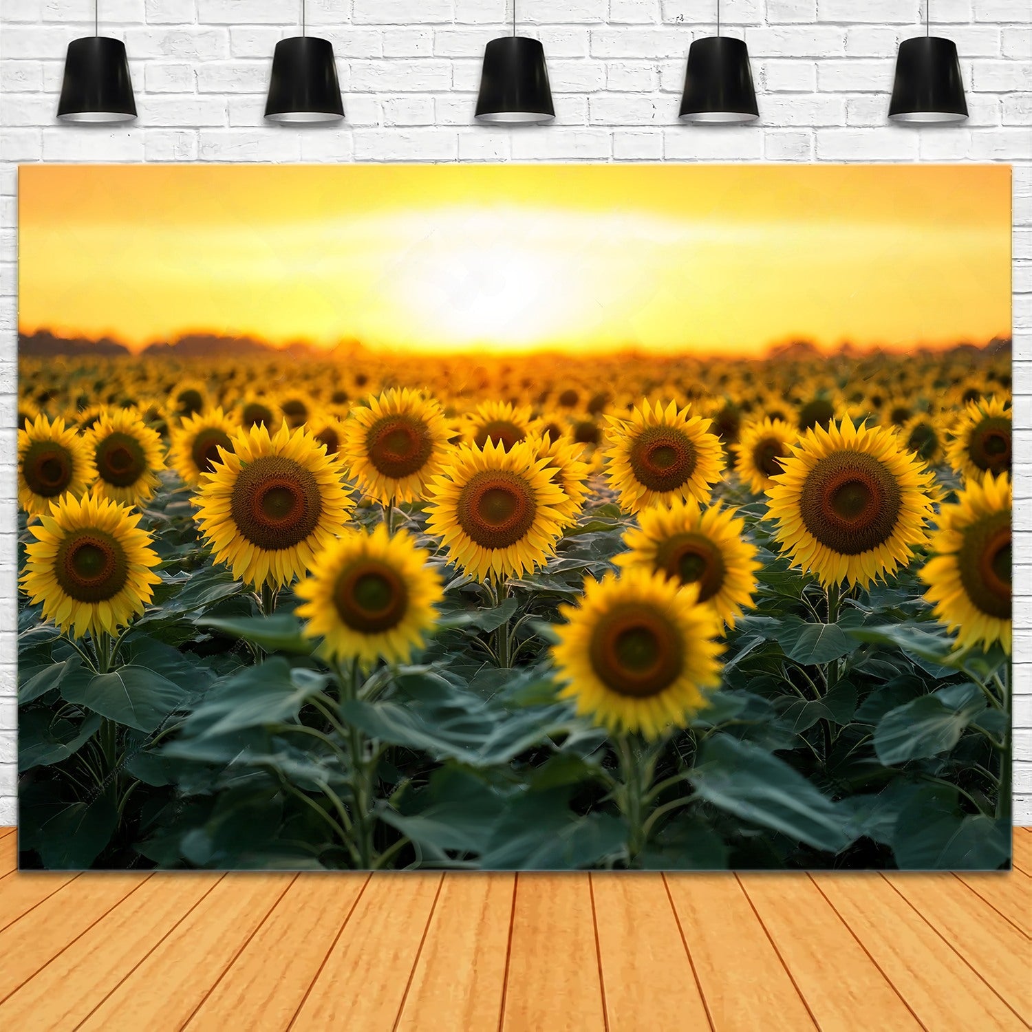 Fall Photo Backdrops Golden Sunflower Bloom Field Sunflower Backdrop LXX58-162