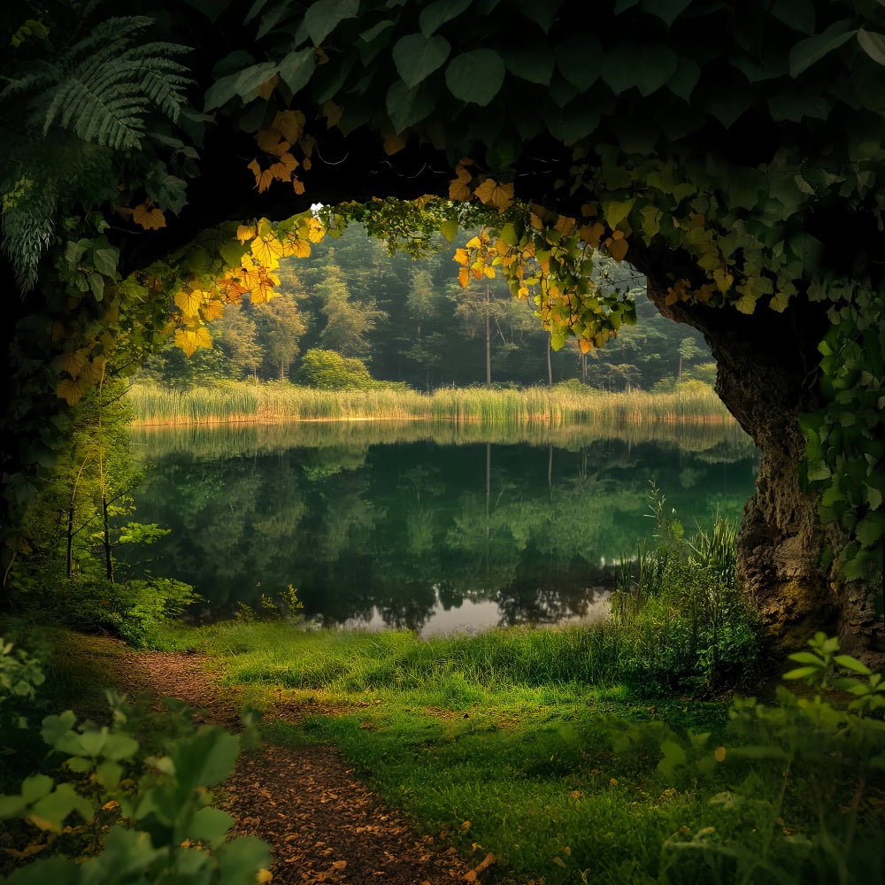 Rainforest Lakeside Cave Ivy Frame Forest Scene Backdrop LXX58-294