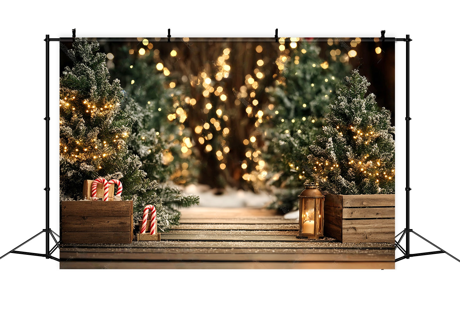 Christmas Tree Backdrop Snowy Pine Pathway Lights Christmas Photography Backdrops LXX58-77