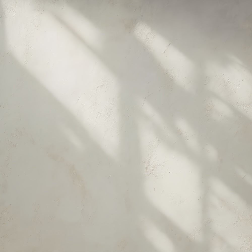 Concrete Backdrop Soft Shadow Texture Wall Portrait Backdrops LXX59-415