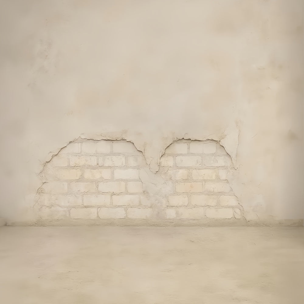 Concrete Wall Backdrop Light Brick Vintage Texture School Portrait Backdrop LXX59-422