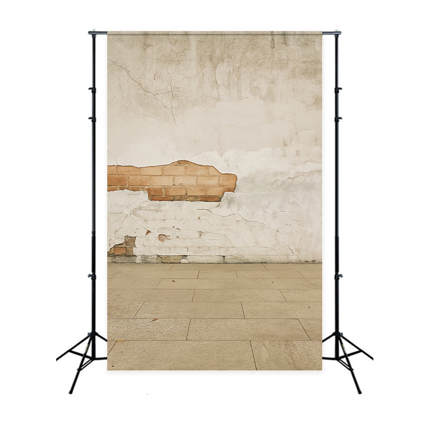 Concrete Wall Backdrop Rustic Cracked Brick Wall Portrait Photography Backdrop LXX59-426