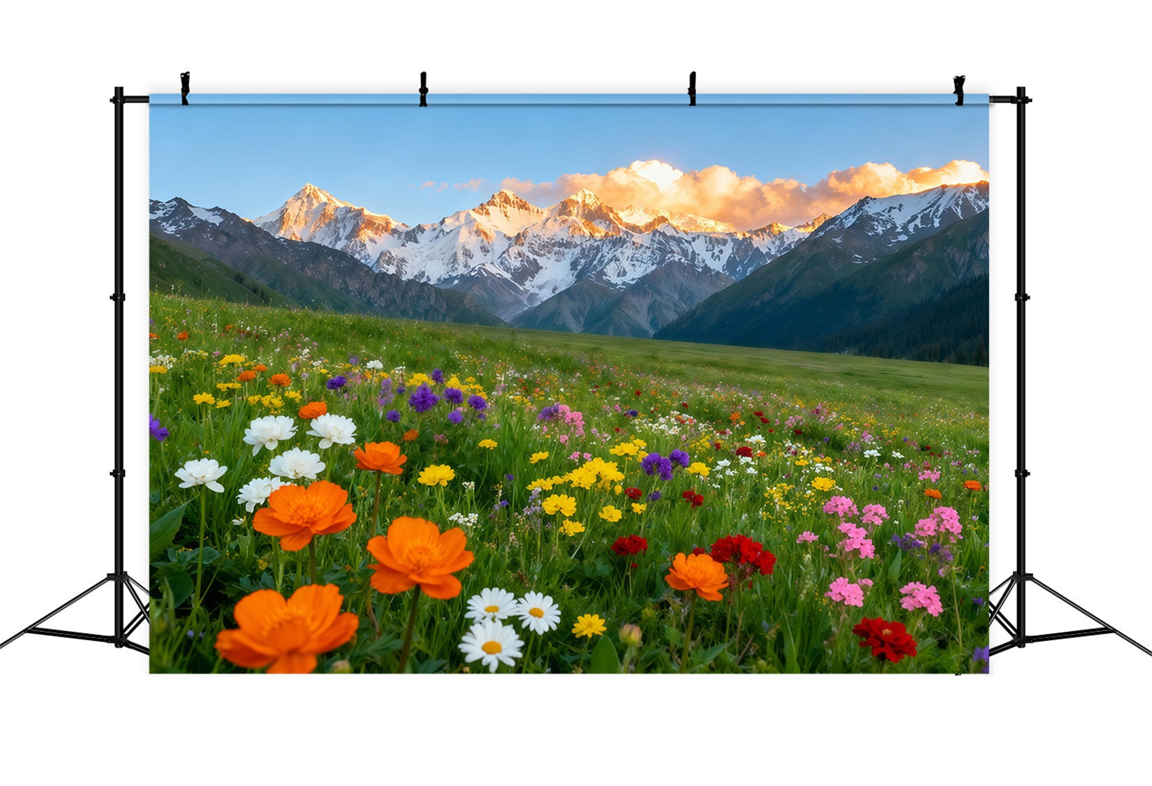 Wildflower Backdrop Alpine Mountain Valley Flower Field Floral Photo Backdrop LXX61-178