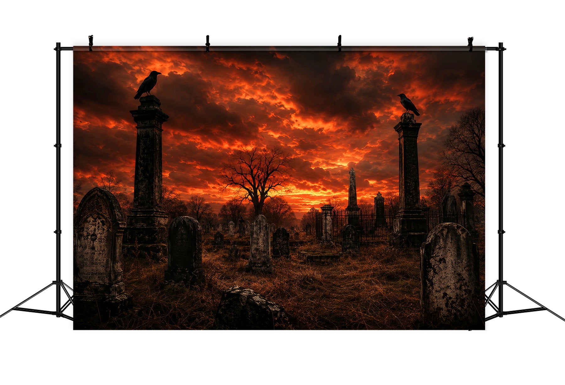 DIY Halloween Backdrop Ideas Fiery Sunset Raven Graveyard Scary Backdrops For Halloween LXX67-190