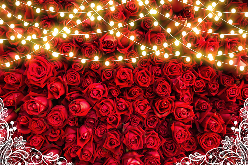 Red Roses Lights Decoration Floral Backdrop