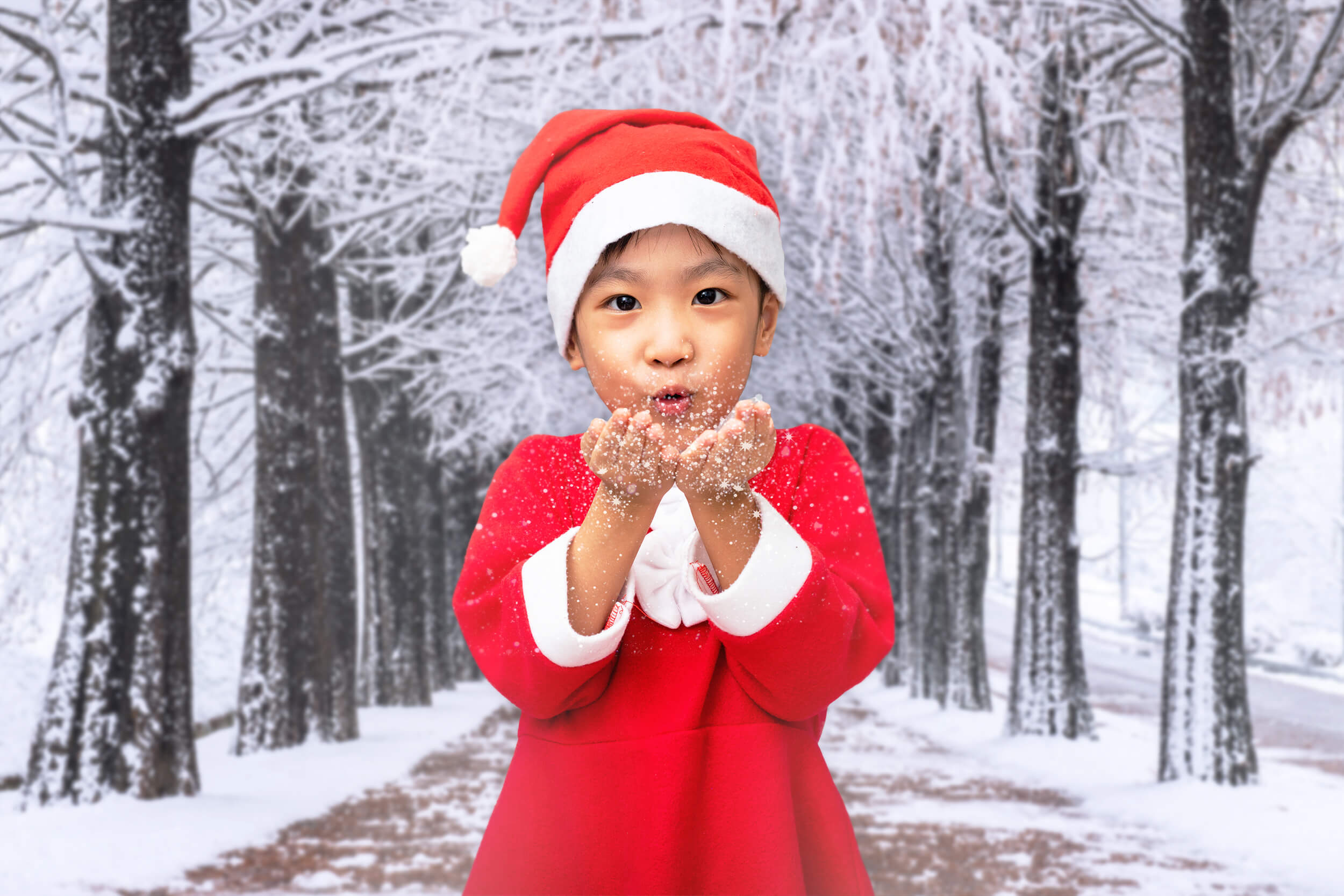 Winter Snowy Trees Walking Path Backdrop M10-08