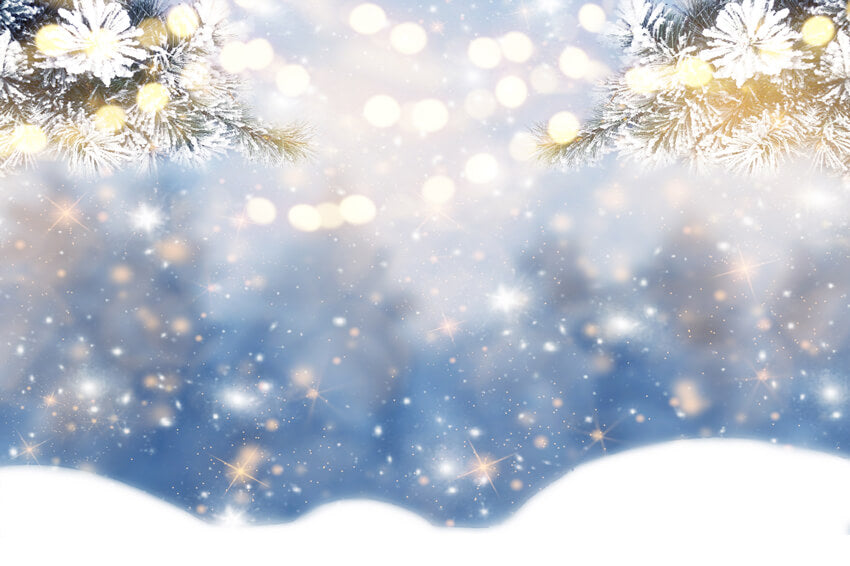 Winter Bokeh Snowflake Fir Branches Backdrop