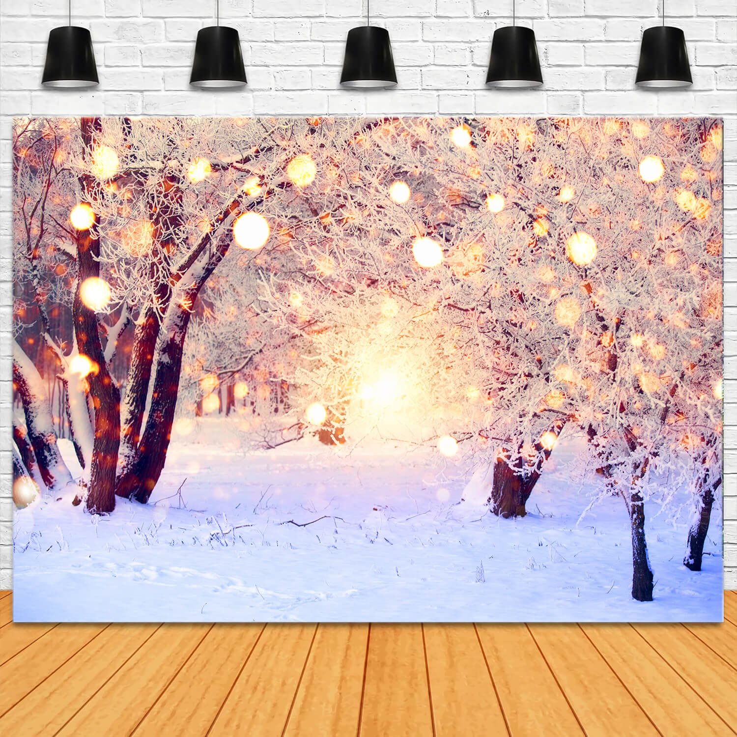 Winter Snow Glitter Lights Photography Backdrop M10-71