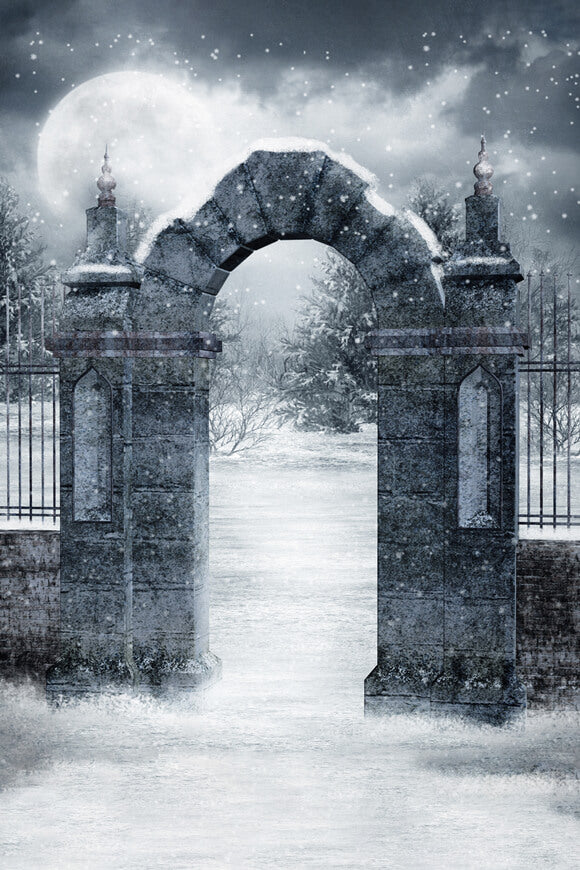 Snowy Gothic Cemetery Gate Winter Backdrop