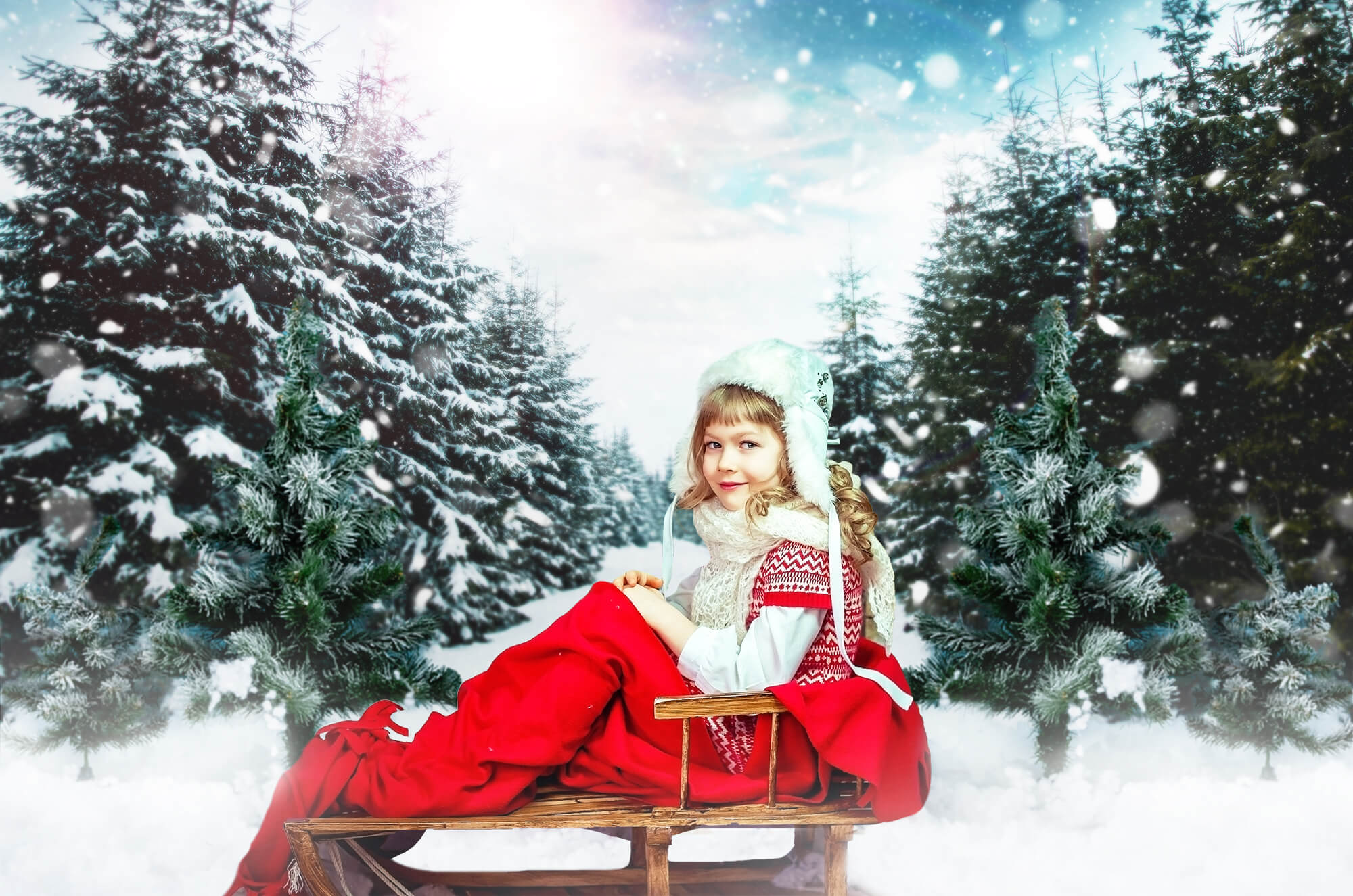 Winter Forest Snowfall Sunlight Landscape Backdrop M11-45