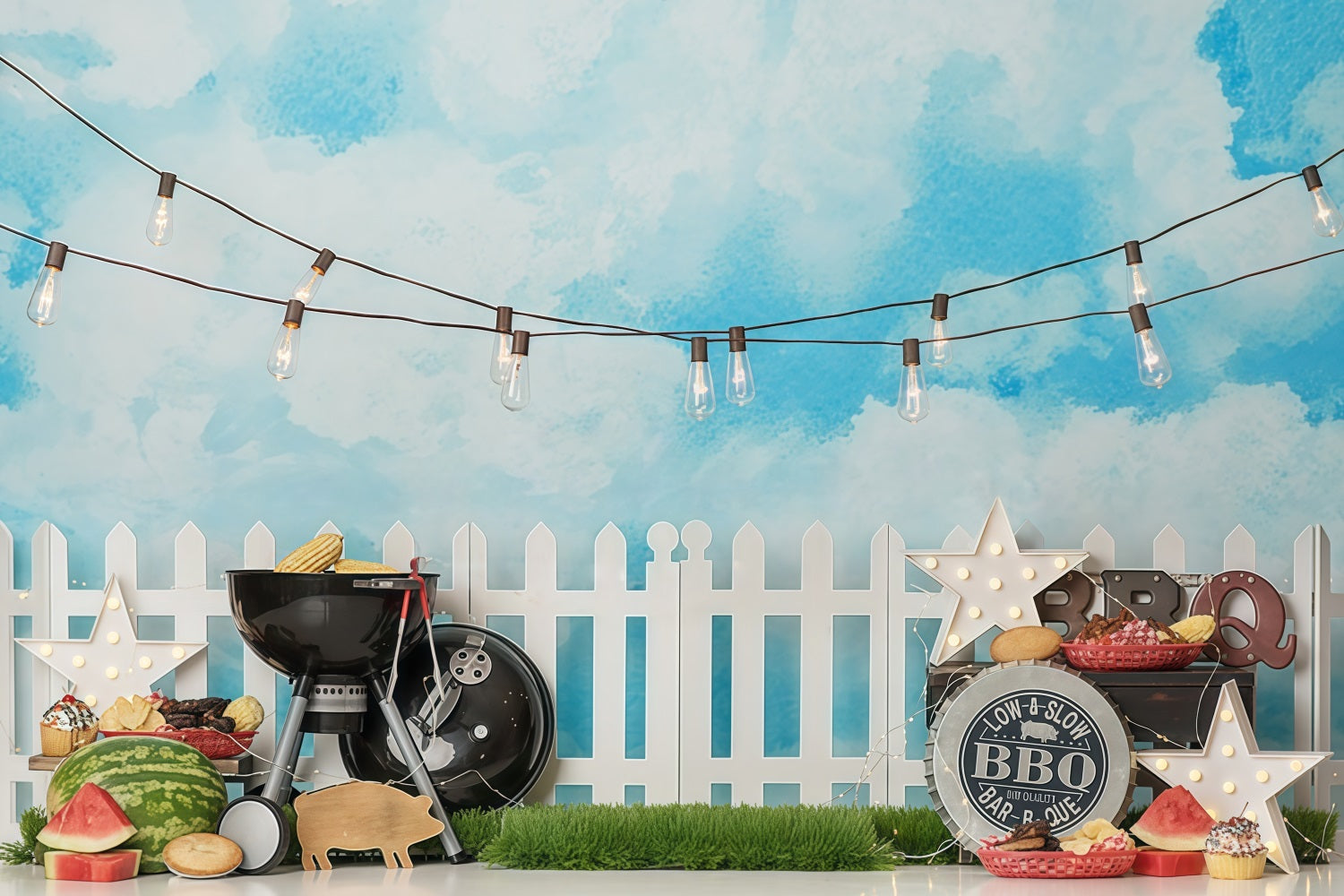 Newborn Backdrop BBQ Party Fairy Lights Children Backdrops MRR10-22