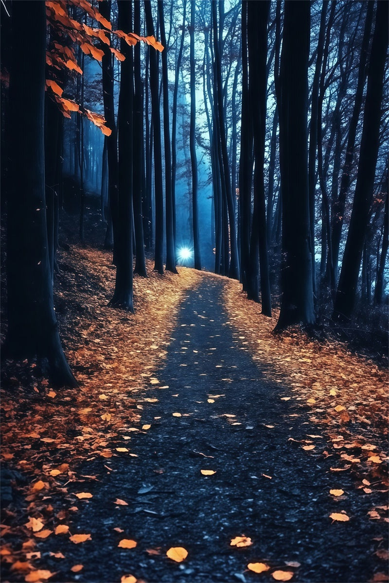 Night Forest Backdrop Golden Leaf Twilight Backdrop MRR7-113
