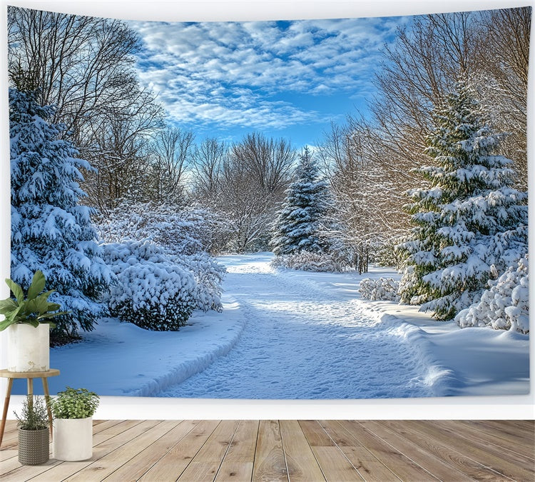 Winter Backdrops Clear Sky Snow Path Backdrop MRR7-151